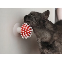 Pureysma Görünümlü Kedi Kaşıma Oyuncağı Tımar Catnip Uy Beyaz - Kırmızı