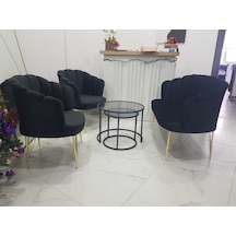 Siyah Kumaş Metal Gold Ayaklı Papatya Çay Seti Koltuk Takımı Bekleme Koltuğu Ofis Koltuğu