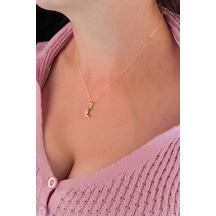 Fiyonk Kuyumculuk 14 Ayar Altın Hayalet Zincir Hilal Ay Uçlu Kolye 001