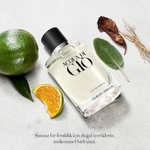 100 Ml Aromatik Koku, Tazeleyici Erkek Parfümü Diğer