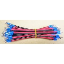 Bolled P10 Panel Elektrik Bağlantı Kablosu 40 Cm