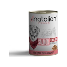 Anatolian Premium Somonlu Parça Etli Yetişkin Köpek Konservesi 400 G