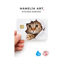 Sevimli Kedi Temalı Kart Sticker Çipli Kart Kaplama Dekoratif Kart Tasarımı Çok Renkli