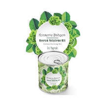 Kıvırcık Tohum İri Yaprak