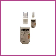 Gees Global Caizilan Hair Growth Spray 2 Adet Zencefil Özlü Saça Boyut Spreyi 50 Ml Gbzs