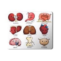 Organlar Vücut Organları Kalp Beyin Kemik Böbrek Baskılı Mousepad Mouse Pad