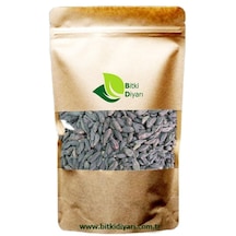 Karahalile Fructus Myrobalani 50gr