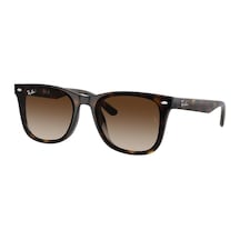 Ray-ban 0rb4420 710/13 65 Unisex Güneş Gözlüğü