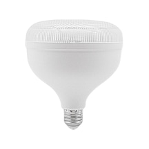 Cata 55 Watt E27 Duylu Kristal Torch Led Ampul Ct-4155