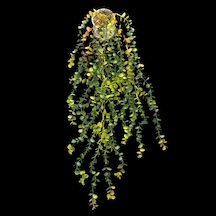Konak Züccaciye Saksılı 3 Dallı Okaliptus Sarkan 1dmt