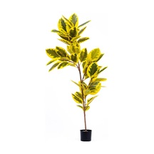 The Mia Yapay Ficus Altissima Ağacı Sarı Yeşil 170 Cm