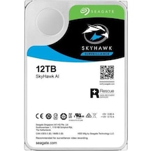 Seagate  Ironwolf Pro New Dahili Disk ST12 12 TB Sata 7200 RPM 256 MB