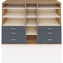 Çam - Aytaşı - Antrasit