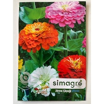 SimaGRo Zinna Çiçek Tohumu 30 Adet
