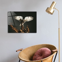 Decorita Hayvanlar | Cam Tablo | Baykuş - Kanatları Açık