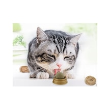 Zensaas41 Kedi Nanesi Catnip Oyun Topu Zensaa56