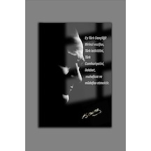 Atatürk Cam Tablo 45