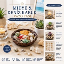 Yuvarlak Ahşap Sepet 54'lü Renkli Midye & Deniz Kabukları - Vazo Taşı Seti Belirtilmemiş