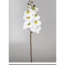 Yapay Çiçek Orkide Gerçek Dokunuş Beyaz 104 Cm Çok Renkli