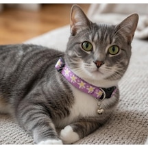 Patibon Galaxy Harmony Kedi Boyun Tasması, Mor, Özel Koleksiyon