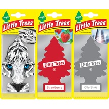 Car Freshner Asma Koku 3'lü Vahşi, Çilek, Şehir Karışık Set