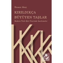 Kırıldıkça Büyüyen Taşlar / Prof. Dr. Hasan Akay