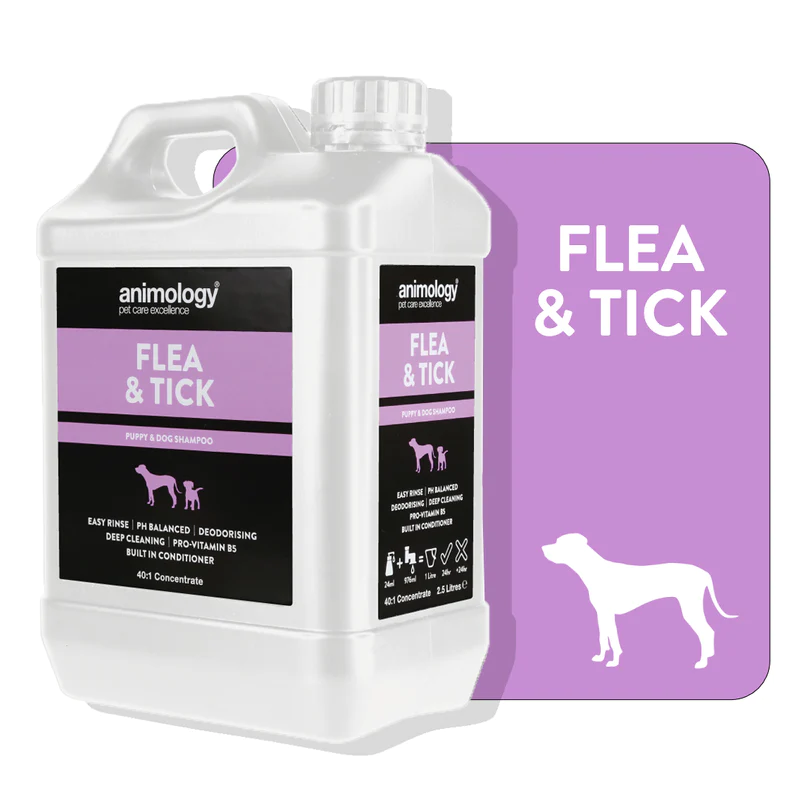 Flea Tick Kene Ve Pire Önleyici 40:1 Konsantre Kedi Köpek Şampuanı 2500 ML Flea Tick Kene Ve Pire Önleyici 40:1 Konsantre Kedi Köpek Şampuanı 2500 ML