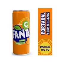 Fanta Portakal Kutu 250 Ml 24'lü