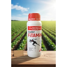 1 L