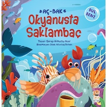 Sincap Kitap Bul Beni Okyanusda  Saklambaç