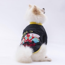 Pawstar Siyah Shine Kedi Köpek Sweati Kedi Köpek Kıyafeti