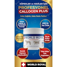 Köpek Collajen 400 Ml Toz