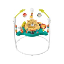 Fisher-price Sevimli Leopar Jumperoo, 6-18 Aylık, Hnd47 Çok Renkli