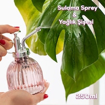 Perotti 15731 Pembe Vintage Cam Bitki Sulama Şişesi Sprey Şişe