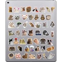 Çılgın Kediler Sticker Seti Laptop Ajanda Notebook Tablet Telefon Defter Etiket Bullet Journal Diğer