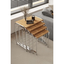 Gümüş - Atlantik Çam