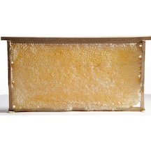 Hakiki Petek Çiçek Balı 3500 G
