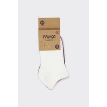 Panço Kız Çocuk Basic Patik Çorap Set Renkli