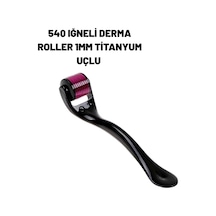 Ev Tipi Mikro İğneli Cilt Bakım Aleti 1 Mm Titanyum Roller Ev Tipi Mikro İğneli Cilt Bakım Aleti 1 Mm Titanyum Roller