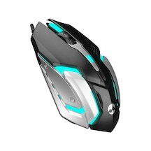EVEREST SM-G72 USB SİYAH/GÜMÜŞ IŞIKLI GAMING MOUSE