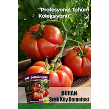 10 Adet Buran Domates Tohumu