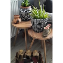 2'li Zigon Sehpa Seti Saksılık Ve Çiçeklik Standı, Dekoratif Yan Sehpa Ahşap Ayaklı 33 Cm Çap - Atlantik Çam Atlantik Çam