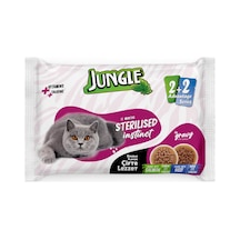 4 X 100 Gr Çift Lezzet Pouch Kısır Kedi Somon - Biftek