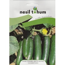 Nesil Hıyar Tohumu Beith Alpha 5 GRam