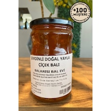Şemdinli Doğal Yayla Çiçek Balı 850 Gr Yüksek Rakım