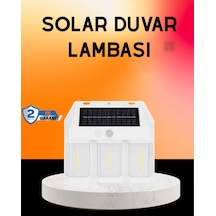 Diğer