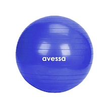 Avessa Bpt-75 Pilates Topu 75 Cm Mavi
