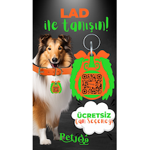 Petjoo 23.Lad Yeşil-Turuncu Qr'lı Köpek Künyesi
