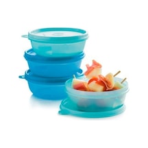 Tupperware Şeker Kaplar Saklama Kabı 4'Lü Çok Renkli