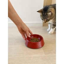 Pati Desen Model Beton Kedi Köpek Mama Ve Su Kabı 13 Cm Çap X 4 Cm - Kiremit
